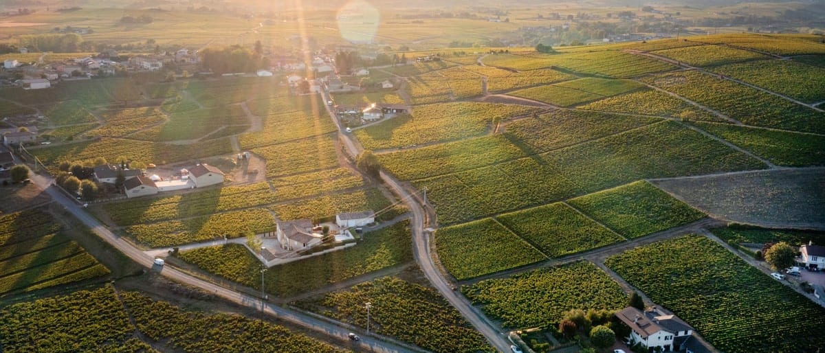 Coteaux de vignes et village de la vallée du Rhône au soleil couchant